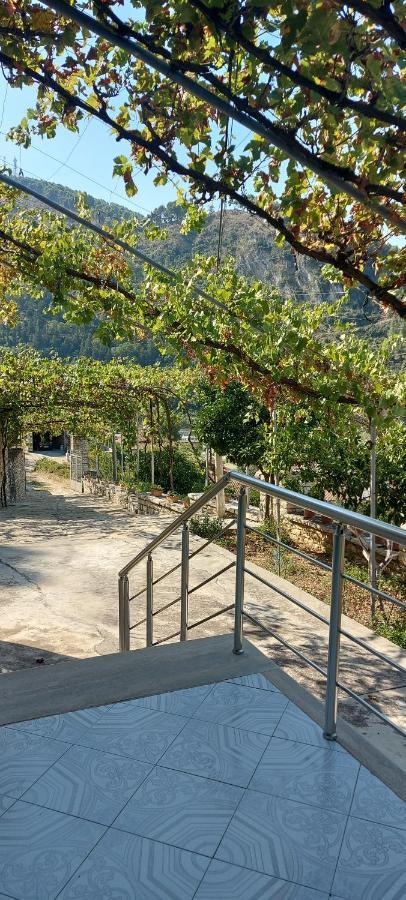 Green Forest Berat Exterior photo