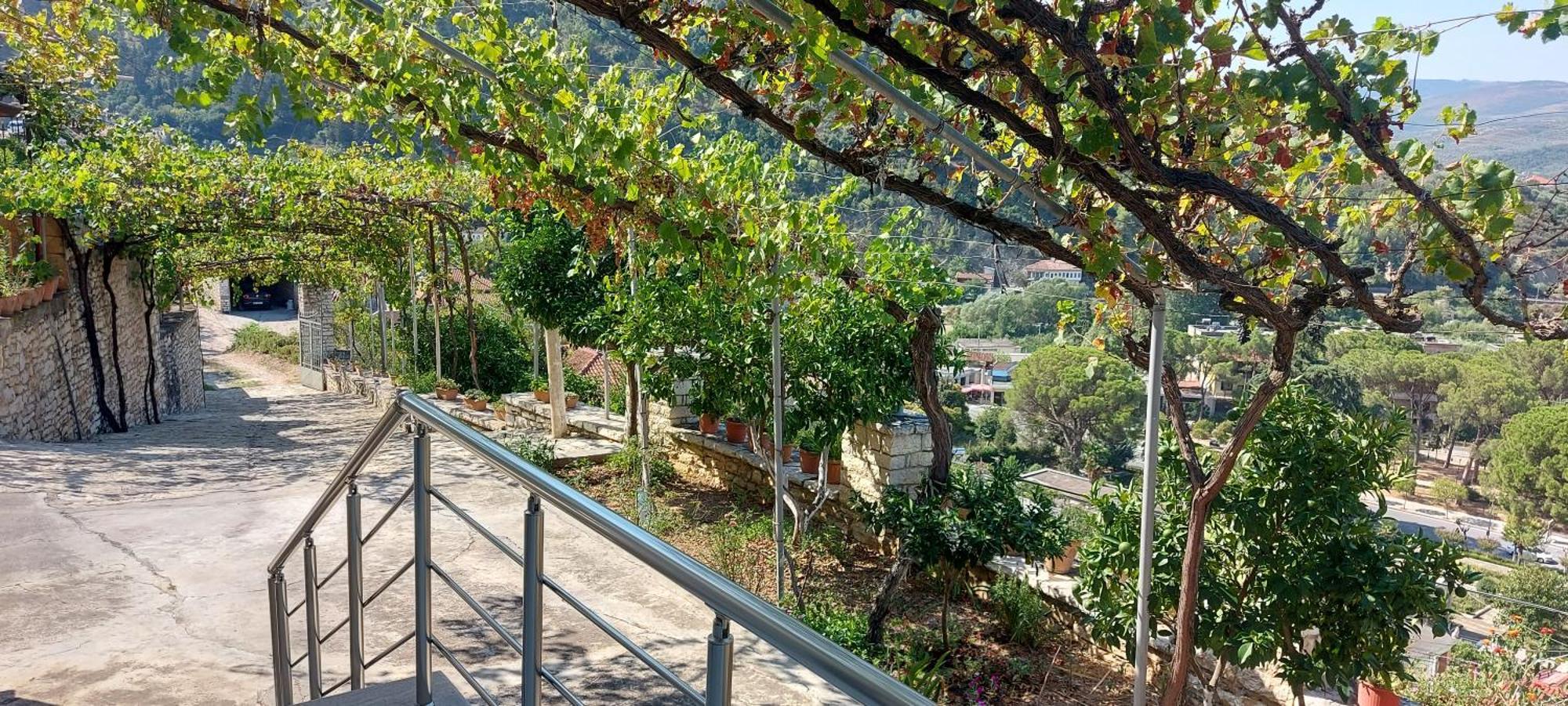 Green Forest Berat Exterior photo